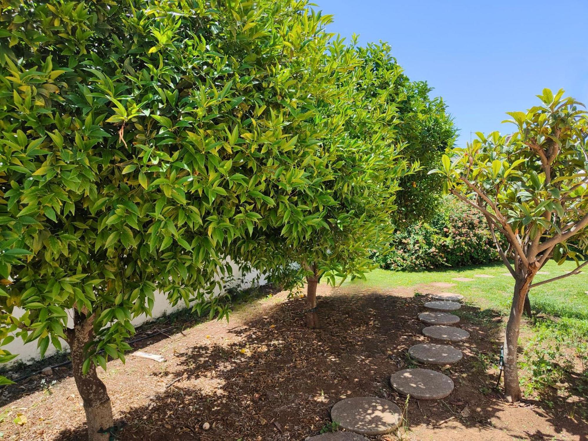 Villa Alfonsa, Fontane Bianche, Siracusa, Private Pool, 10Min From The Beach Bagian luar foto